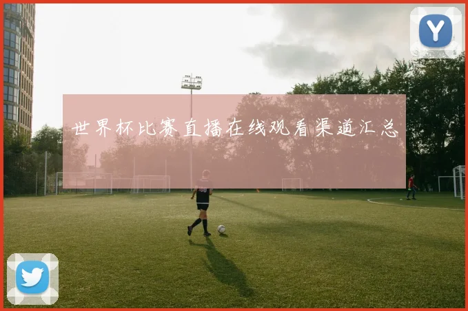 世界杯比赛直播在线观看渠道汇总