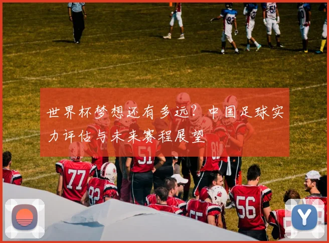 世界杯梦想还有多远？中国足球实力评估与未来赛程展望