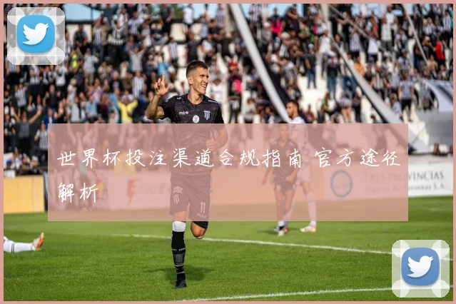 世界杯投注渠道合规指南 官方途径解析