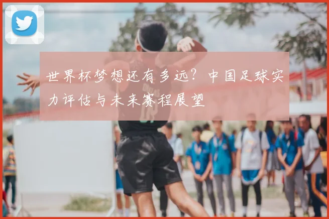 世界杯梦想还有多远？中国足球实力评估与未来赛程展望