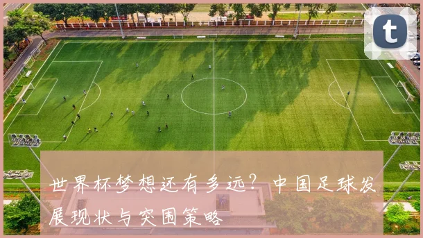 世界杯梦想还有多远?中国足球发展现状与突围策略