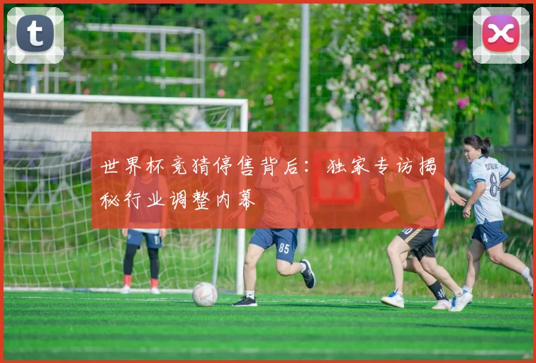 世界杯竞猜停售背后：独家专访揭秘行业调整内幕