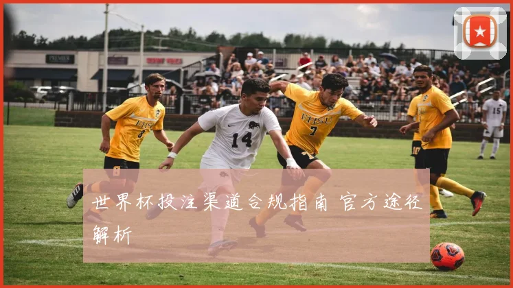 世界杯投注渠道合规指南 官方途径解析