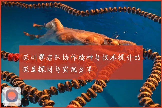 深圳攀岩队协作精神与技术提升的深度探讨与实践分享