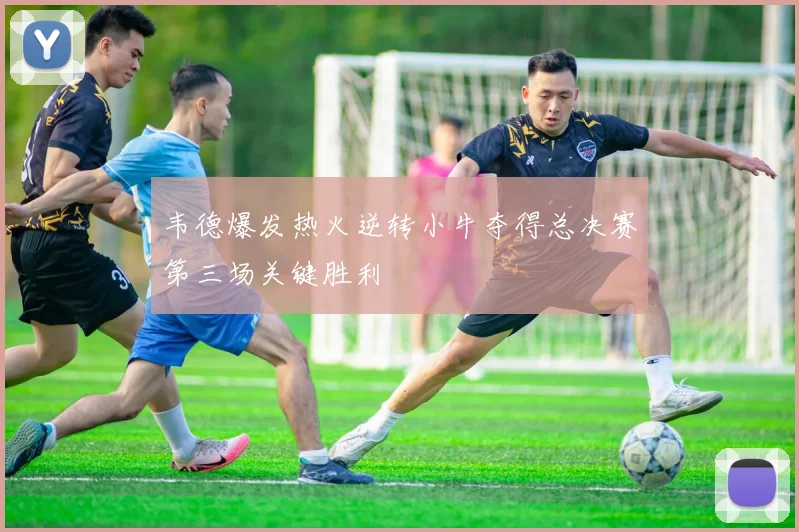 韦德爆发热火逆转小牛夺得总决赛第三场关键胜利