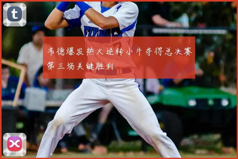 韦德爆发热火逆转小牛夺得总决赛第三场关键胜利