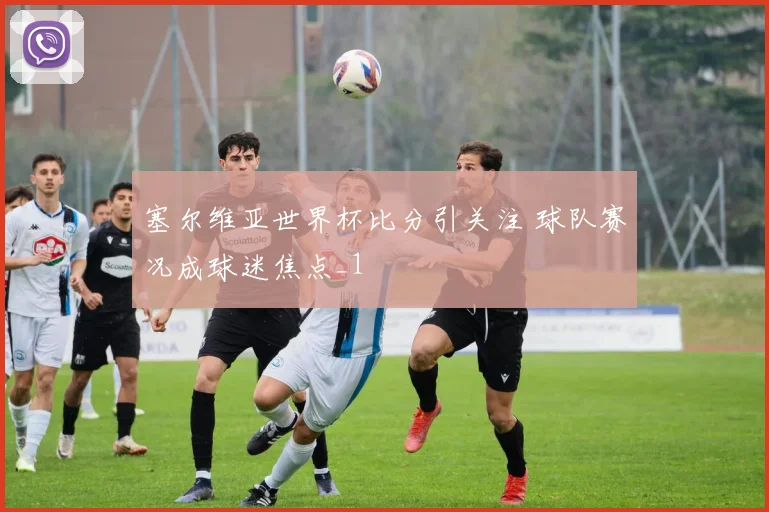 塞尔维亚世界杯比分引关注 球队赛况成球迷焦点_1