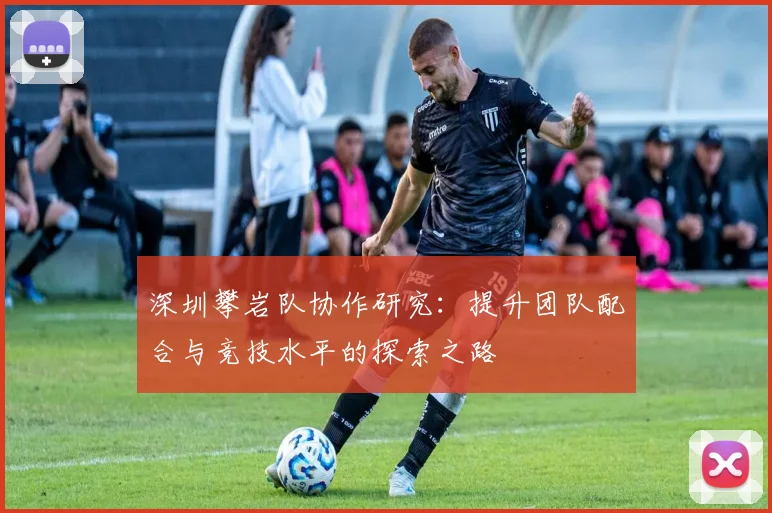 深圳攀岩队协作研究:提升团队配合与竞技水平的探索之路
