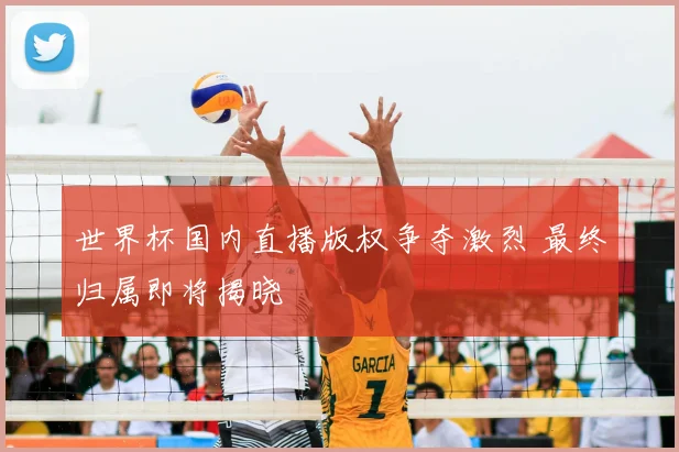 世界杯国内直播版权争夺激烈 最终归属即将揭晓
