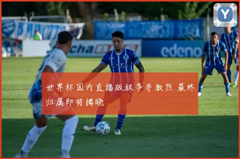 世界杯国内直播版权争夺激烈 最终归属即将揭晓